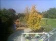 bf_0198.jpg